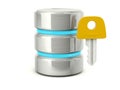 Access data base icon Royalty Free Stock Photo