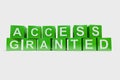 Access granted made of cubes