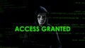 Access granted text on screen, professional hacker copying secret information