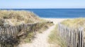 Access ocean sandy pathway fence wooden to ocean beach atlantic sea coast at Cap-Ferret in France Royalty Free Stock Photo