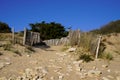 Access ocean sandy pathway fence wooden to ocean beach atlantic sea coast in France Royalty Free Stock Photo