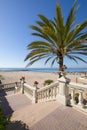 Access to Benicassim Beach with palm tree and stairs vertical