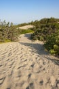 Access to the sea through natural sand dunes.Mediterranean scrub. Royalty Free Stock Photo