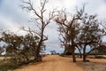 Access tracks to the free camp sites at Lake Bonney Barmera in the Riverland South Australia on the 20th June 2020