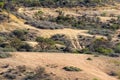 Access tracks to the River Murray near Holder Bend lookout at Waikerie in the river land South Australia on the 20th June 2020