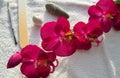 Accessories and tools for Spa manicure, Orchid and stones on white background