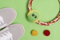 Accessories for walking with a pet. Sneakers, balls, a ring for playing with a dog, on a green background