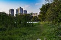 acclimatization park sÃÂ£o paulo Brazil blue sky and trees, Royalty Free Stock Photo