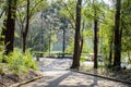 acclimatization park sÃÂ£o paulo Brazil Recreation area