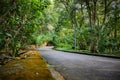 Acclimatization park sÃÂ£o paulo Brazil Road to walk