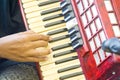 Accordian Player Royalty Free Stock Photo