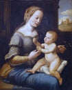 According Raffaelo Santi: Madonna with carnation