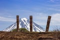 Wooden statues on the Vilyuchinsky pass in June, Kamchatka Peninsula, Russia