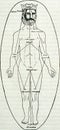 alchemical hermetic illustration of the ten sefiroth in the body of adam cadmus