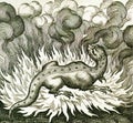 alchemical hermetic illustration of salamander in fire by michael maier