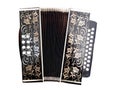 Accordion Royalty Free Stock Photo