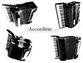 Accordion vector