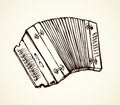 Accordion. Vector drawing