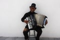 Accordionist