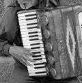 Accordionist playing the accordion Royalty Free Stock Photo