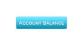 Account balance web interface button blue color, online banking service, app