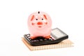 Accounting software. Finances and investments. Piggy bank pink pig and calculator. Accounting and family budget Royalty Free Stock Photo