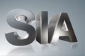 Accounting term - SIA