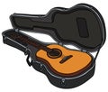 The accoustic guitar in a hard case