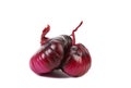Accrete couple of violet onions. Royalty Free Stock Photo