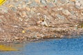 Accumulated trash being swept to ocean after a rainy day in the bird sanctuary in Southern California.