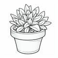 Accurate And Detailed Potted Succulent Flower Outline Drawing Royalty Free Stock Photo
