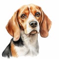 Accurate And Detailed Watercolor Beagle Portrait Illustration