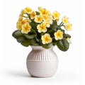 Accurate And Detailed Yellow Violas In A Modern Ceramic Vase