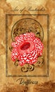 Ace of pentacles. Minor Arcana tarot card with Rafflesia and magic seal