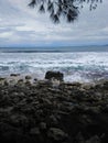 Aceh Beach Royalty Free Stock Photo