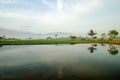 Acenic view of the rice fields in magelang central java indonesia, landscape nature with hills and tree in the foggy morning.