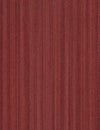 Acero mapletop view wooden wall material burr surface texture background Pattern dark red brown color build construction architect