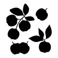 Acerola. Berries. Black silhouette