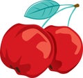 Acerola cherries illustration