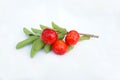 Acerola Cherry with half slice and green leaves isolated on white background Royalty Free Stock Photo