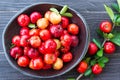 Acerola cherry Royalty Free Stock Photo