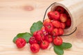 Acerola cherry in wooden bucket on wooden background. Select  focus, Barbados cherry, Malpighia emarginata, high vitamin . Acerola Royalty Free Stock Photo