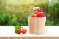 Acerola cherry in wooden bucket on wooden background. Select  focus, Barbados cherry, Malpighia emarginata, high vitamin . Acerola Royalty Free Stock Photo