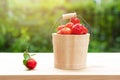 Acerola cherry in wooden bucket on wooden background. Select  focus, Barbados cherry, Malpighia emarginata, high vitamin . Acerola Royalty Free Stock Photo