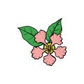 Acerola flower and leaves. Barbados cherry. Hand drawn vector  sketch Royalty Free Stock Photo