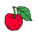 Acerola fruit. Barbados cherry. Hand drawn vector outline Royalty Free Stock Photo