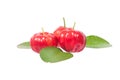 Acerola Royalty Free Stock Photo