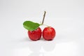 Acerola twig in white background isolated