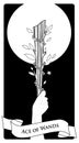 Aces of Tarot Cards. Wands. Hand holding a rod surrounded by leaves and flowers on black background