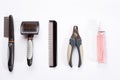 Acessories for the grooming of the dog. Combs and brushes for dogs. Top view Royalty Free Stock Photo